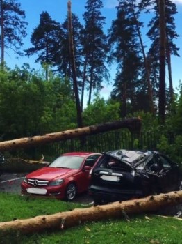 А что у нас с погодой? -6 - FN2QuiQZKik.jpg