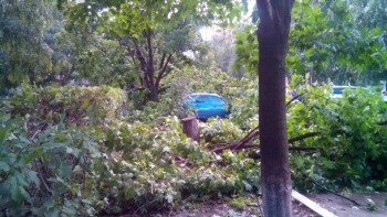 А что у нас с погодой? -6 - vEp0CjQ11r8.jpg