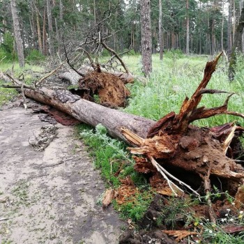 А что у нас с погодой? -6 - NTiegMw8PNU.jpg