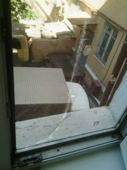 Флудилки-4 - WhatsApp Image 2017-07-19 at 11.10.30 (1).jpeg