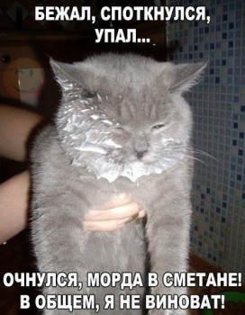 Любимая кошатинка  - M3ZcIQ1sFVo.jpg