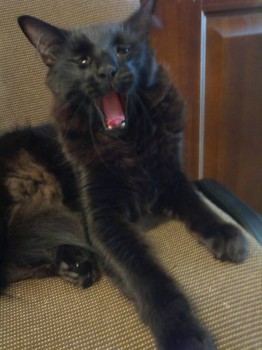 Доброе утро! )))