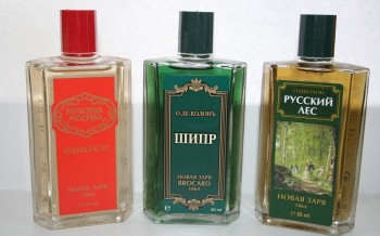 Любимая кошатинка  - 11213318_7.jpg