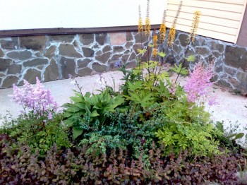 Наши цветы 2 - IMG_20170722_173652.jpg