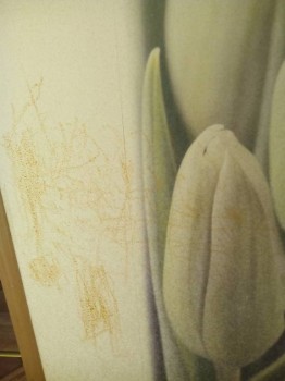 Тема для КОРОТКИХ вопросов-6 - IMG_20170814_130326.jpg