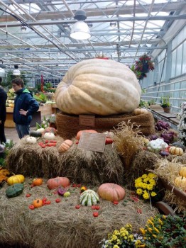 Кухонные разговоры флудим ТУТ -5 - doc57310931_451751549.jpeg