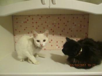 а этот ещё что тут забыл? и без него хорошо))