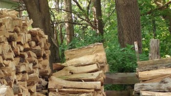 Фотозагадки - image.jpg