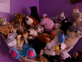 Фотозагадки - image.jpg