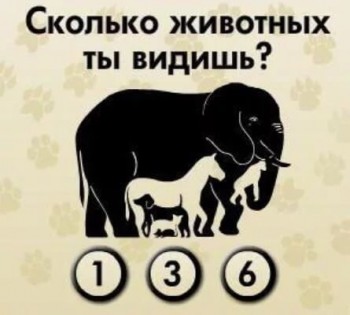 Фотозагадки - image.jpg