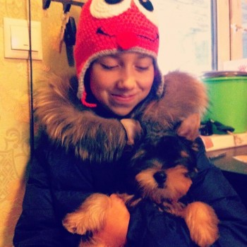 Придется завести собаку... - IMG_20171011_013552_235.jpg