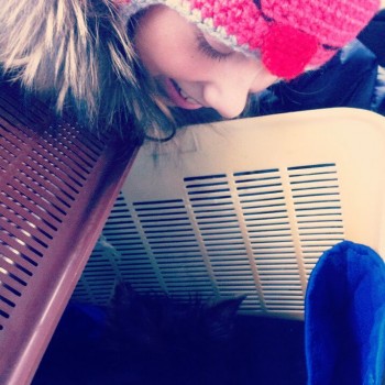 Придется завести собаку... - IMG_20171011_013552_193.jpg