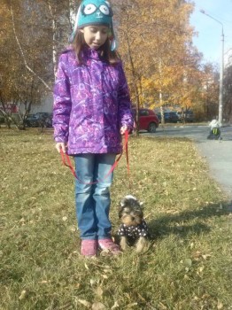 Придется завести собаку... - CAM12788.jpg