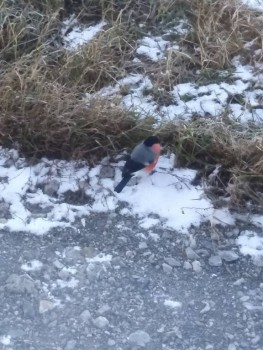 А что у нас с погодой? -6 - z1eq9FW0_iA.jpg