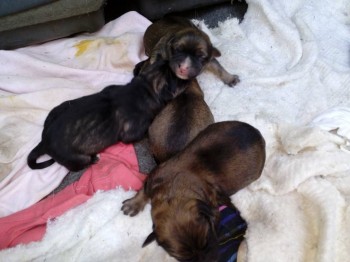 только родились