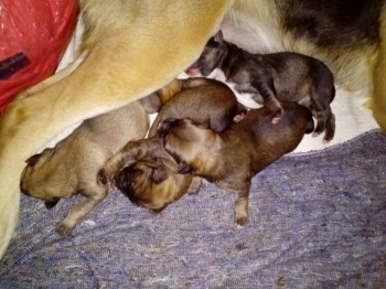 разморило на подземной парковке