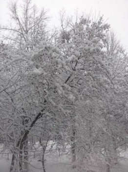 А что у нас с погодой? -6 - 15112460250421249266212.jpg