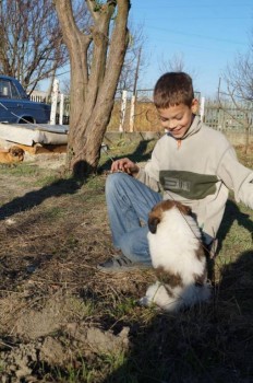 Придется завести собаку... - 37A1ynIkQcc.jpg