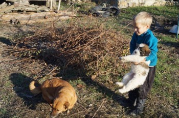 Придется завести собаку... - DSC02151.JPG