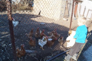 Придется завести собаку... - DSC02152.JPG