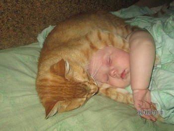 Страшнее кошки зверя нет  - image (3).jpg