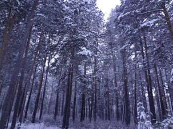 А что у нас с погодой? -6 - qiBUNSxVxyY.jpg