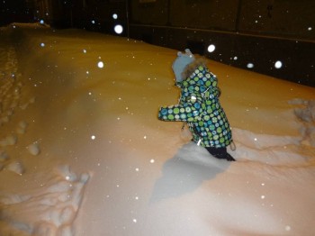 А что у нас с погодой? -6 - DSC07241.JPG