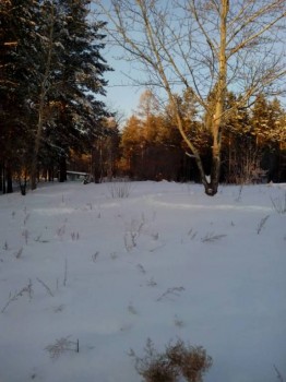 А что у нас с погодой? -6 - viber image1.jpg