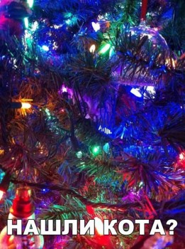 Фотозагадки - G5_FPGmZWCA.jpg