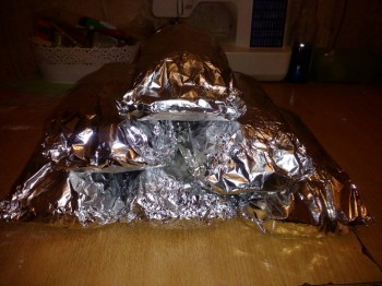 мои "бревнышки" из второй партии, в процессе "дозревания",  их даже не убирала далеко )))