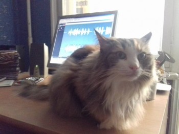 Любимая кошатинка  - okMFTtU1WHI.jpg