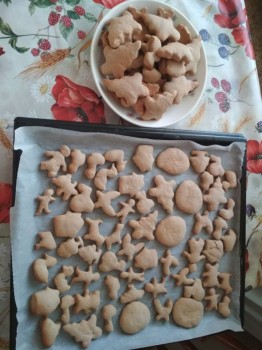 Пряники: роспись имбирных пряников и рецепты. - IMG_20180120_133818.jpg