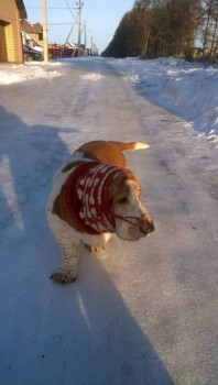 Машинное вязание - aUSVO0FNulY.jpg