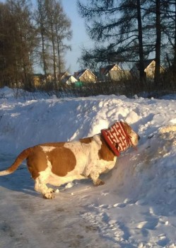 Машинное вязание - bJNjmv21xRQ.jpg