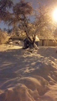 А что у нас с погодой? -6 - 20180203_233306.jpg