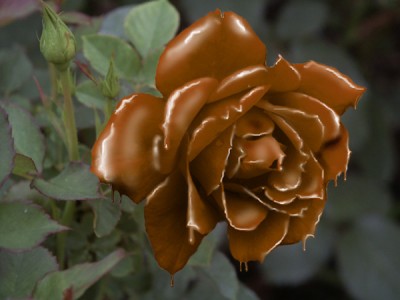  миссионерские идеи - post-19017-1166366504.jpg