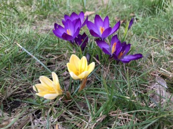 А что у нас с погодой? -6 - 7485D2CE-1F5B-42AC-BBB8-670A39F69808.jpeg