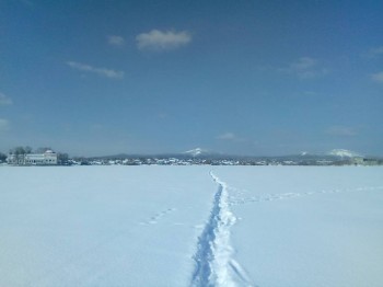 А что у нас с погодой? -6 - IMG_20180228_121540.jpg