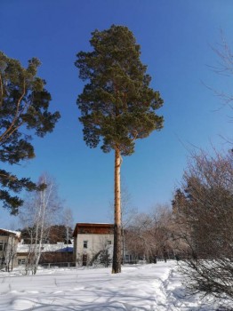 А что у нас с погодой? -6 - Xq45b-XyrE4.jpg