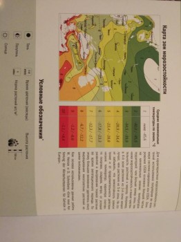 Комнатные цветущие растения кроме орхидей . - IMG_20180324_145550.jpg