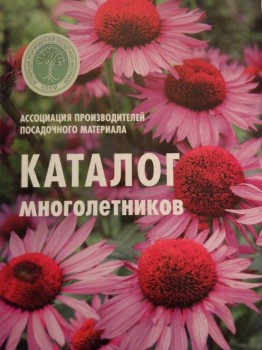 Комнатные цветущие растения кроме орхидей . - 15218927339541117805690.jpg