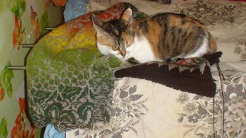 Машинное вязание - l9JMxDD3_ww (1).jpg