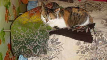 Машинное вязание - OgR6ttm4jiM.jpg