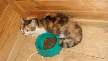 Машинное вязание - 19260328_664023893788475_6805464891800476598_n.jpg