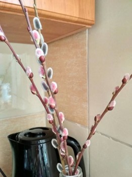 А что у нас с погодой? -6 - IMG_20180330_153331_HDR.jpg