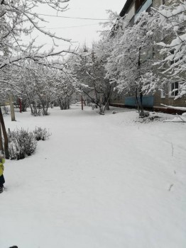 А что у нас с погодой? -6 - IMG_20180331_112858.jpg