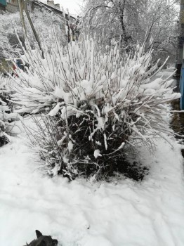 А что у нас с погодой? -6 - IMG_20180331_112300.jpg