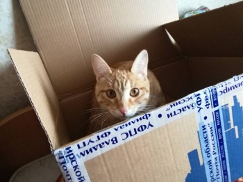 Пасхальная акция-2018 - IMG_20180410_141921.jpg