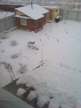 А что у нас с погодой? -6 - IMG_20180411_090054.jpg