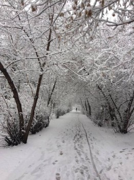 А что у нас с погодой? -6 - icYIzpSFYjY.jpg